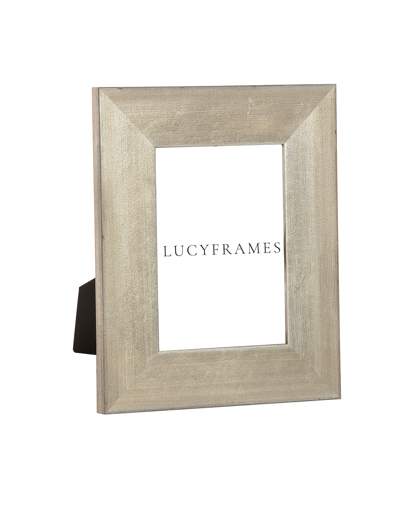 Helina Silver Frame