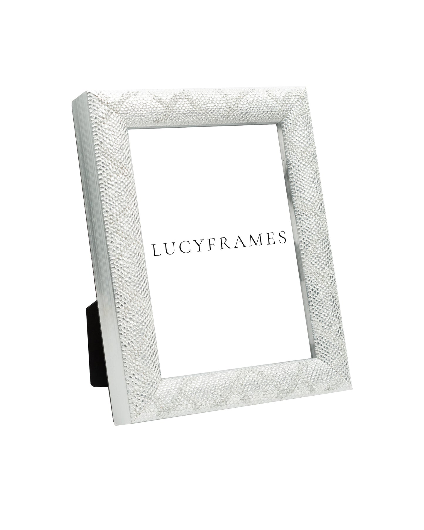 Rachel Silver Frame